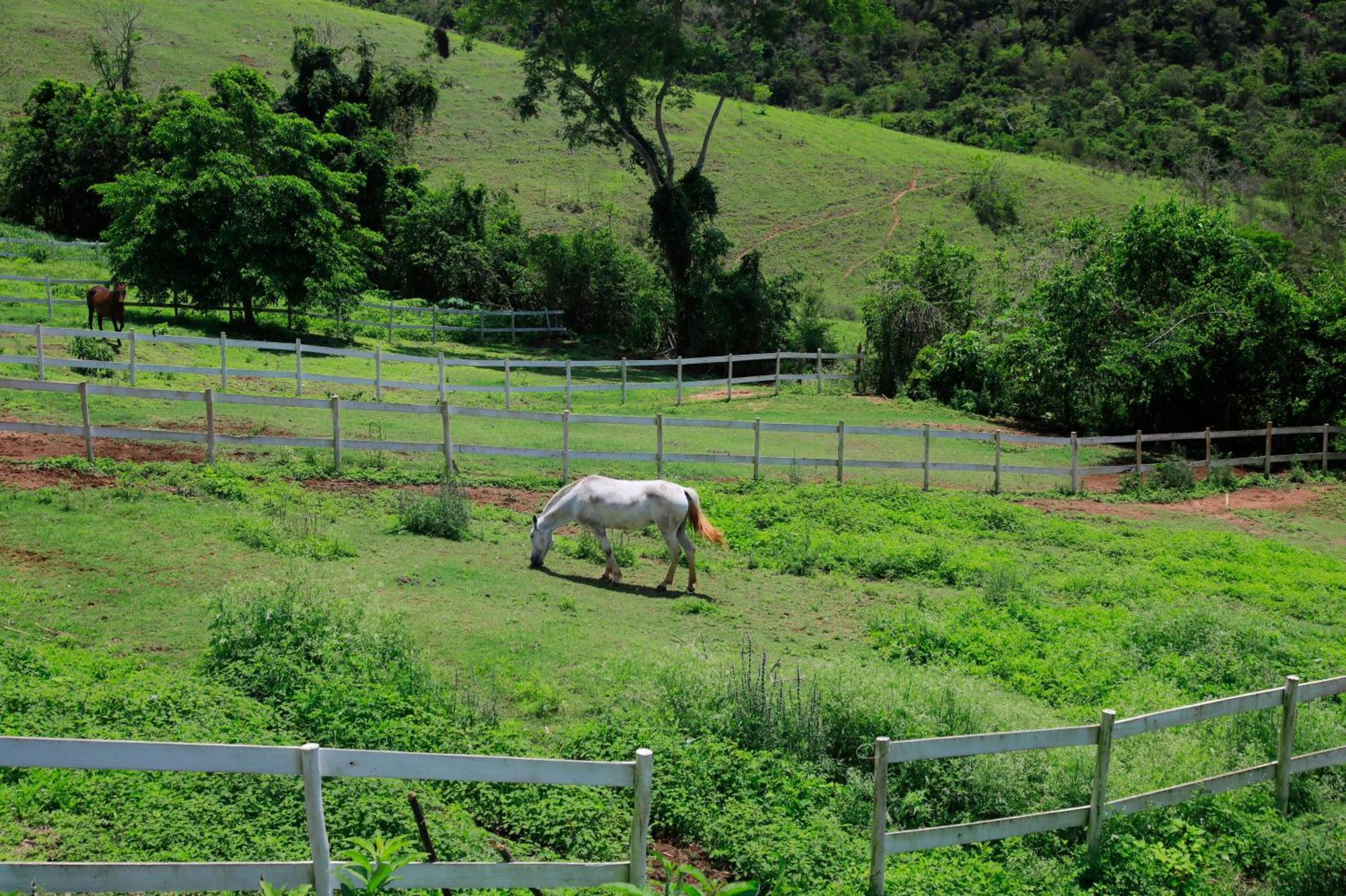 Cabana Secretario Petrópolis エクステリア 写真